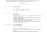 Resume format for Private Job Private Tutor Resume Samples and Templates Visualcv