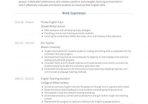 Resume format for Private Job Private Tutor Resume Samples and Templates Visualcv