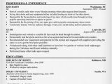 Resume format for Radio Jockey Fresher Disc Jockey Resume Resumecompanion Com Resume Examples
