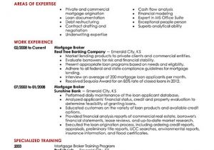 Resume format for Real Estate Job Best Real Estate Agent Resume Example From Professional