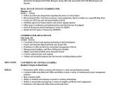 Resume format for Real Estate Job Coordinator Real Estate Resume Samples Velvet Jobs