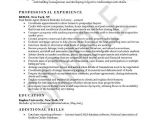 Resume format for Real Estate Job Real Estate Agent Resume Examples Real Estate assistant