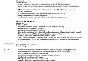 Resume format for Real Estate Job Real Estate Broker Resume Samples Velvet Jobs