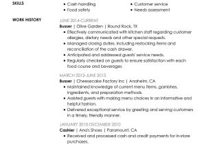Resume format for Restaurant Job Unforgettable Restaurant Server Resume Examples to Stand