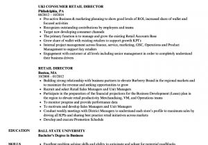 Resume format for Retail Job Retail Director Resume Samples Velvet Jobs