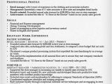 Resume format for Retail Job Retail Sales associate Resume Sample Writing Guide Rg