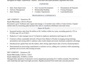 Resume format for Sales Job Sales Manager Resume Sample Monster Com