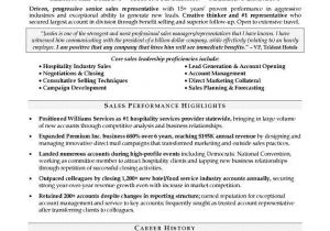 Resume format for Sales Job Sales Sample Resume Certified Professional Resume Writer