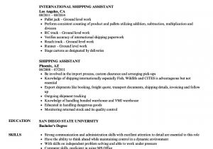 Resume format for Shipping Job Shipping assistant Resume Samples Velvet Jobs