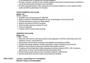Resume format for Shipping Job Shipping Manager Resume Samples Velvet Jobs