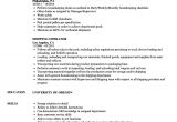 Resume format for Shipping Job Shipping Operator Resume Samples Velvet Jobs