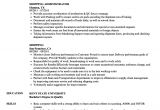 Resume format for Shipping Job Shipping Resume Samples Velvet Jobs