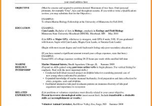 Resume format for Teacher Job 10 Cv format Teachers Job theorynpractice