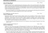 Resume format for Teaching Job In Engineering College Sample Resume for Faculty Position Engineering Adjunct
