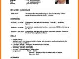 Resume format In English Word 6 Cv forms English Download theorynpractice