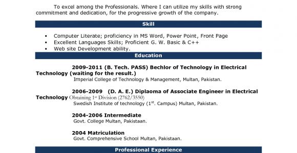 Resume format In Word 2007 Image Result for Cv format In Ms Word 2007 Free Download