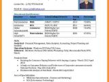 Resume format In Word and Pdf 5 Cv format Pdf Free Download theorynpractice