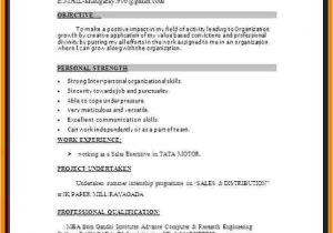 Resume format In Word File for Experienced 5 Cv Sample Word Document theorynpractice