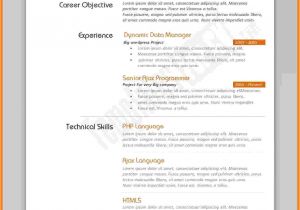 Resume format In Word File for Experienced 5 Cv Samples Word File Download theorynpractice