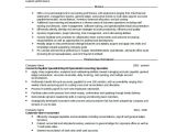 Resume format In Word File for Experienced Sample Accountant Resume 14 Examples In Word Pdf
