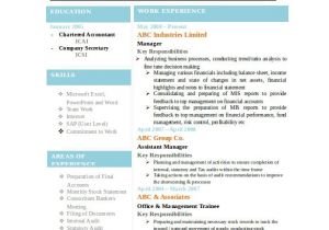 Resume format In Word for Accountant 47 Best Resume formats Pdf Doc Free Premium Templates