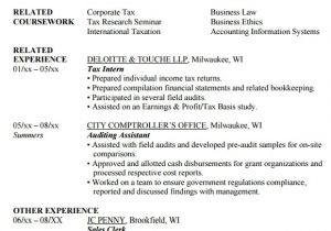 Resume format In Word for Accountant Free 11 Sample Accounting Resume Templates In Ms Word