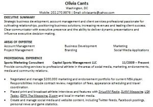 Resume format In Word for Accounts Executive Account Executive Resume Content In Word format Free Download