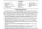 Resume format In Word for Accounts Executive Account Manager Resume Sample Monster Com