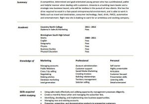 Resume format In Word for Accounts Executive Executive Resume Template 14 Free Word Excel Pdf