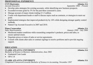 Resume format In Word for Accounts Manager Account Executive Resume Sample Resumecompanion Com