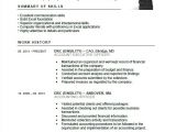Resume format In Word for Accounts Manager Account Executive Resume Template Free Resume