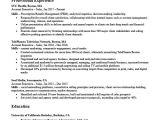 Resume format In Word for Accounts Manager Account Executive Resume Writing Tips Resume Companion