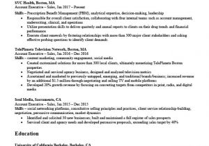 Resume format In Word for Accounts Manager Account Executive Resume Writing Tips Resume Companion