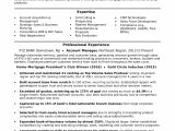 Resume format In Word for Accounts Manager Account Manager Resume Sample Monster Com