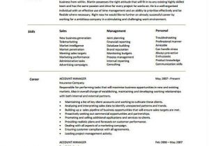 Resume format In Word for Accounts Manager Excellent Account Manager Resume Sample