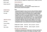 Resume format In Word for Computer Operator Computer Operator Resume It Job Description Example