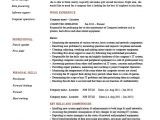 Resume format In Word for Computer Operator Computer Operator Resume It Job Description Example