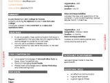 Resume format In Word for Engineers top 10 Fresher Resume format In Ms Word Free Download