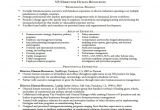 Resume format In Word for Hr Executive Executive Resume Template 14 Free Word Excel Pdf