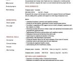 Resume format In Word for Hr Executive Hr Executive Resume Human Resources Sample Example