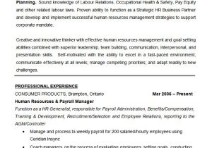 Resume format In Word for Hr Executive Microsoft Word Resume Template 99 Free Samples