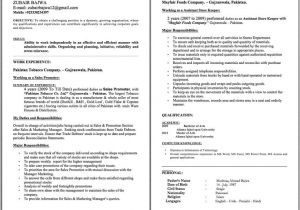 Resume format In Word for Store Keeper assistant Store Keeper Resume Examples Zubair Bajwa E Mail