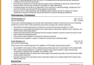 Resume format In Word Sheet Cv format with Photo In Ms Word Cover Letter Samples