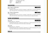 Resume format Of Word File 5 Cv format Ms Word File theorynpractice