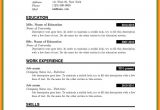 Resume format with Word File 5 Cv format Ms Word File theorynpractice