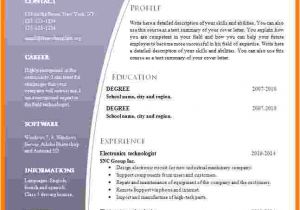 Resume format with Word File 9 Cv format Word File theorynpractice