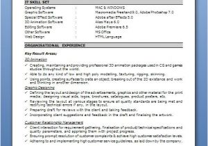 Resume format Word 2010 Professional Resume Template Word 2010