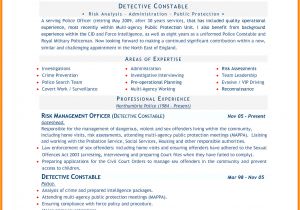 Resume format Word Example 8 Cv In Word Document theorynpractice