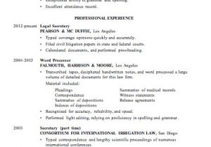 Resume format Word Example Resume Sample Word Processor for Law Firsm