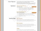 Resume format Word File Download Free 5 Cv Samples Word File Download theorynpractice
